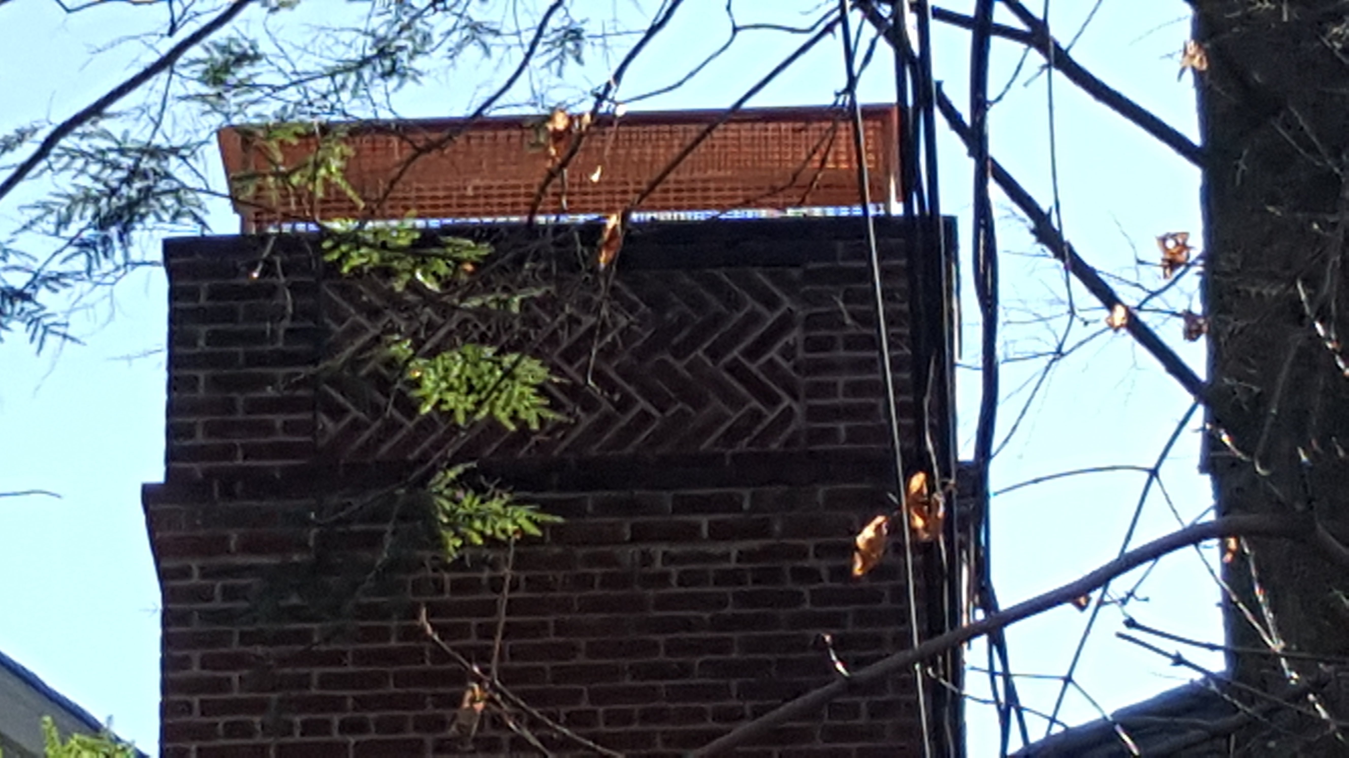 Animal-proof chimney cap protecting home in Floral Park, New York